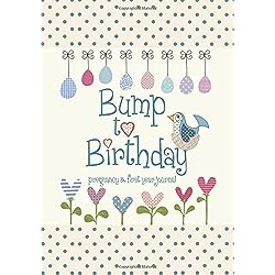 Bump to Birthday, Pregnancy & First Year Baby Journal : an award-winning journal / diary to help you hold onto memories of the growing bump, the birth & the first year with your baby