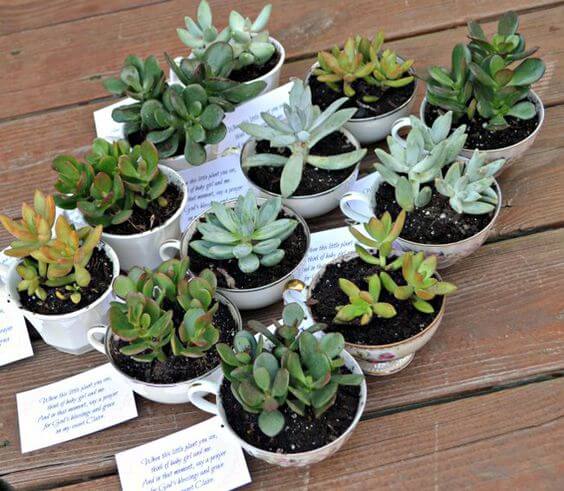 Baby Shower Favors, Thank You Cards, Favors
