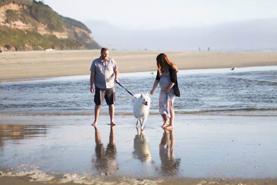 maternity photo shoot at the beach running with dog maternity photo shoot at the beach running with dog