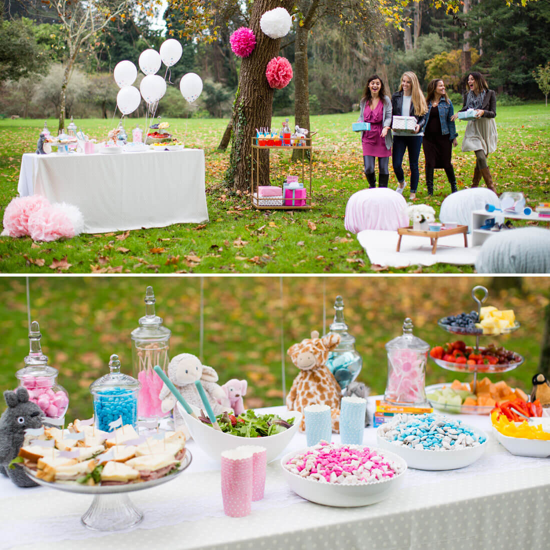 picnic baby shower picnic baby shower