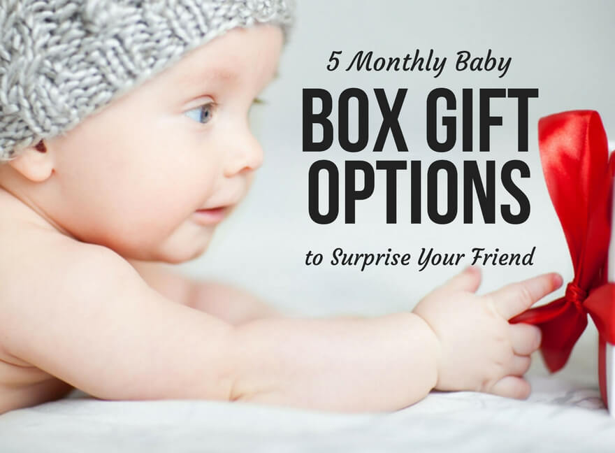 5 Monthly Baby Box Gift Options to Surprise Your Friend